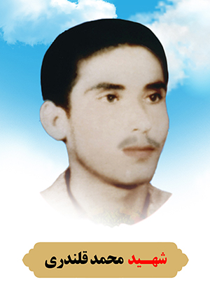 تصویر شهید محمد قلندری